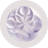 Watsonx.ai Logo